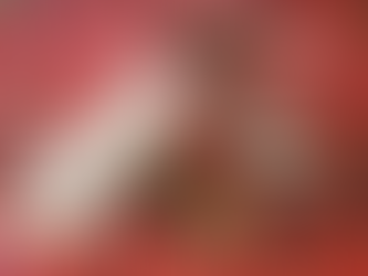 Israël, 12 décembre 2023