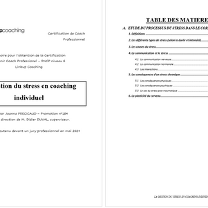 Découvrez mon mémoire sur comment accompagner la gestion du stress en coaching ?