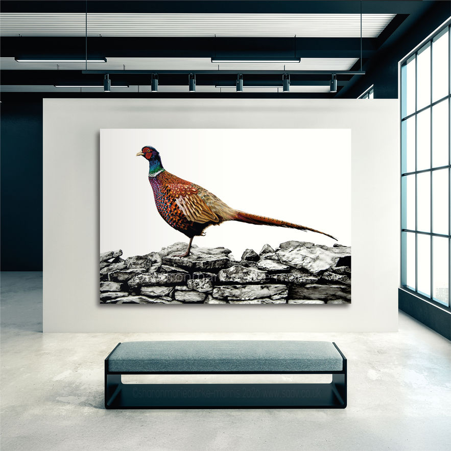 The image displays a framed piece of art featuring a full colour detailed painting of a pheasant standing, facing the left on a stone wall, which has been drawn in black and white.