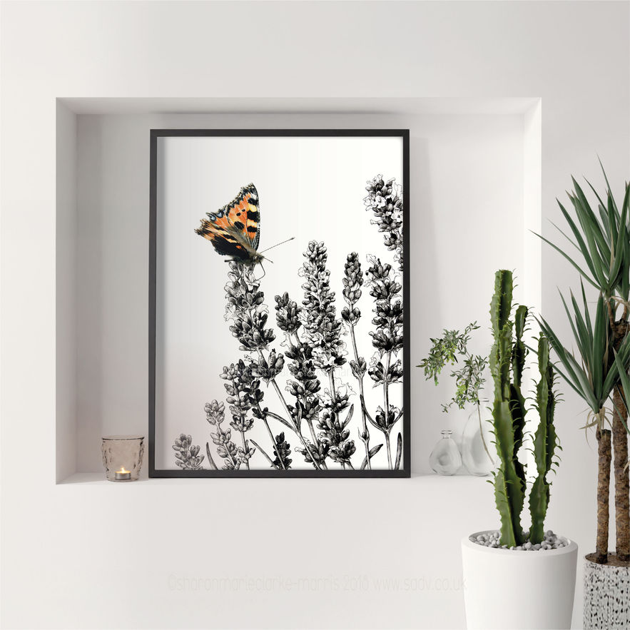 The image shows a framed piece of art featuring a tortoiseshell butterfly on a patch of lavender.  The butterfly is in full colour and the lavender is in black and white.