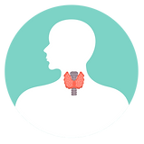 THYROID.png