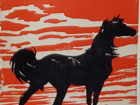 The Littlest Black Stallion