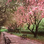 New York State of Mind