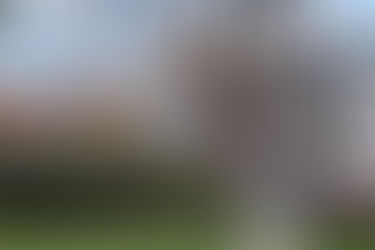 A Connecticut Yankee in Queen Margrethe’s Court