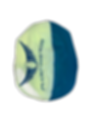 Quick bag_logo_edited.png
