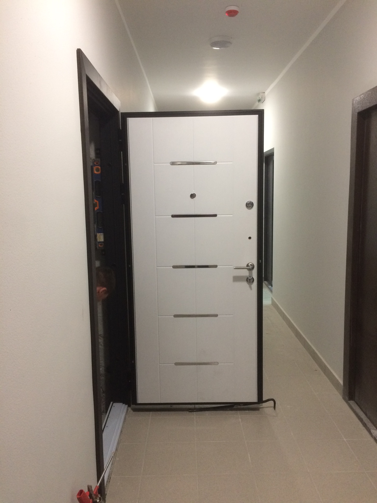 дверь Арт 11/1
