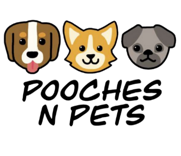 Pooches daycare cheap