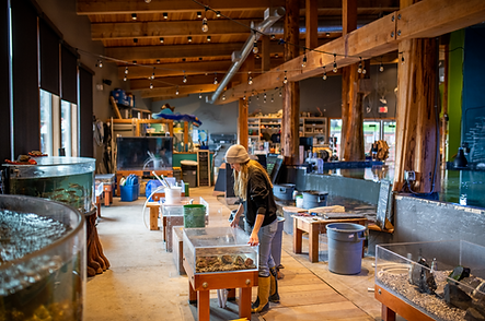 Tank Setup James MacDonald 2.png