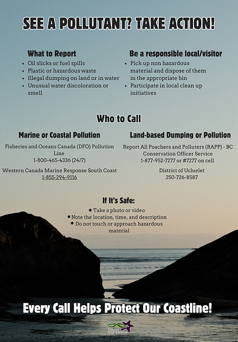 See a pollutant.png