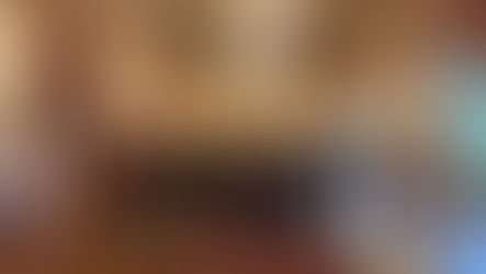 Sortie à l'Assemblée nationale