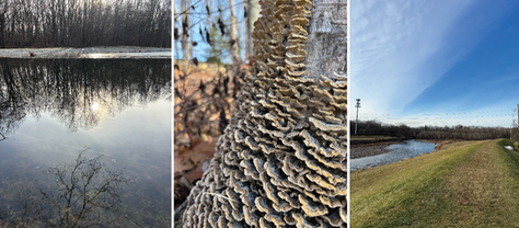 {walking story} a walk in Stroudsburg, PA