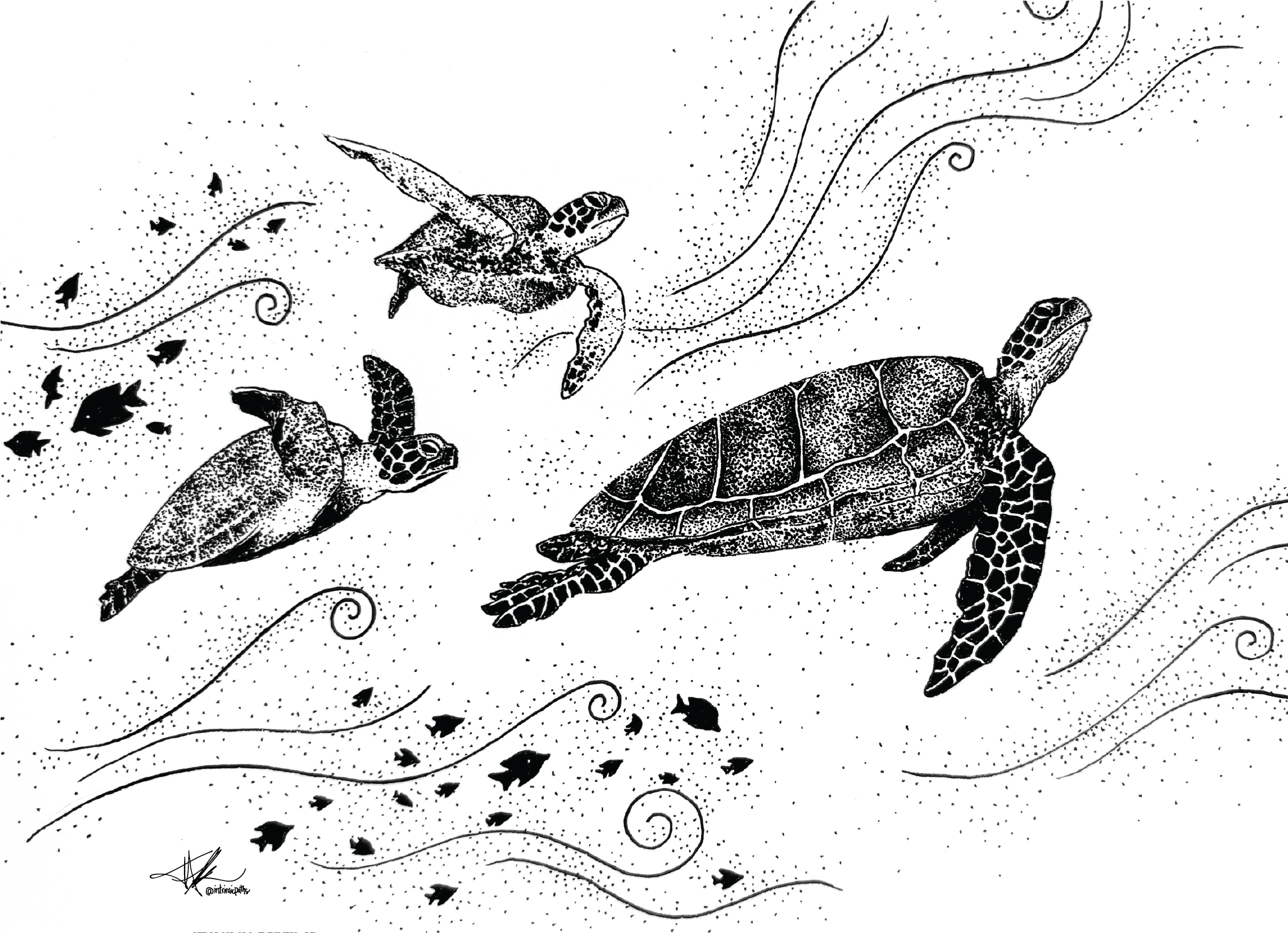 strength of sea turtles