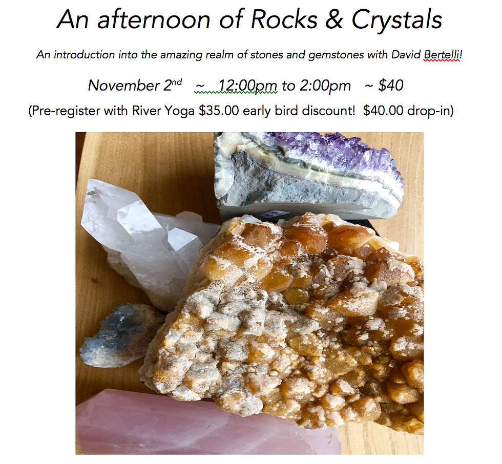 An Afternoon of Rocks & Crystals with David Bertelli
