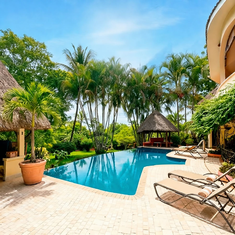 pool w palm in pot moved.png
