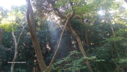 伊勢神社
