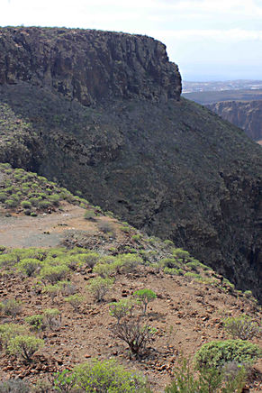 Gran Canaria Mountain
