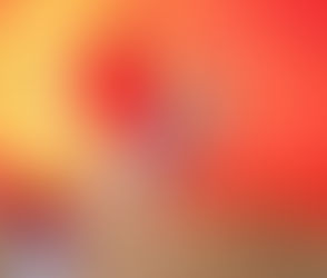 Halloween Pet Portraits Event with HALO Animal Rescue