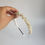 Thumbnail: Pearl band