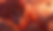 Front Page.png