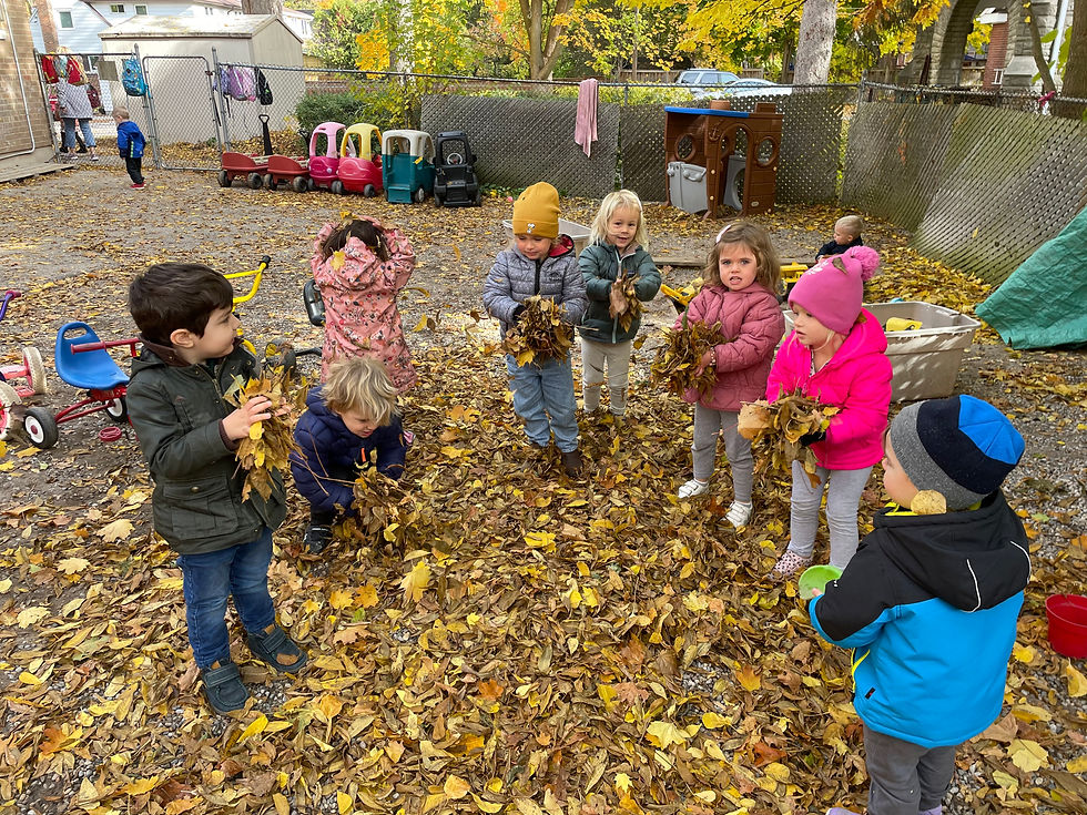 children playing with fall leaves in the school yard