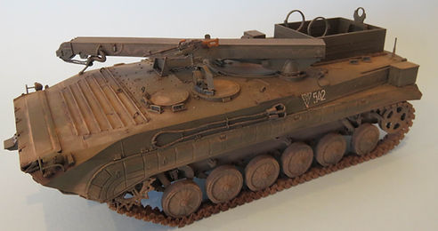 BREM-2 (2).JPG