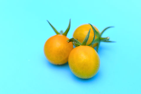 Tim's Taste of Paradise | Tomato Monster
