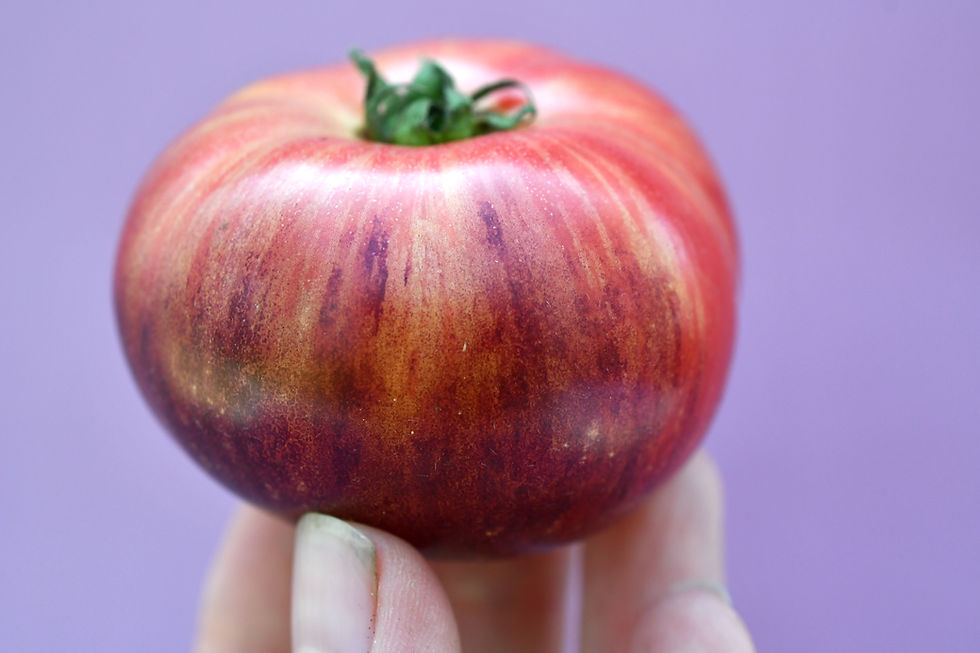 Thumbnail: Eye Candy