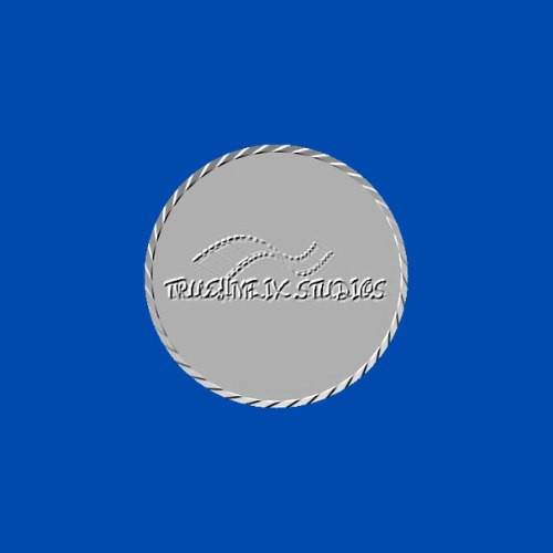 TRUEHNFLIX STUDIOS INC STOCK 24