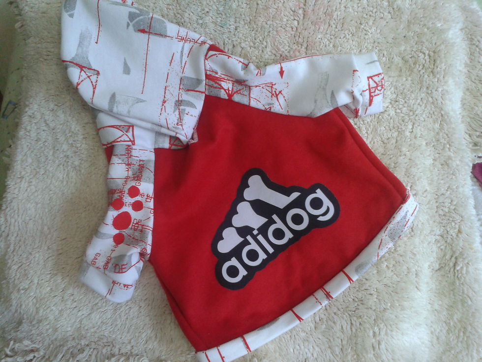 2014-04-27 17.52.32.jpg