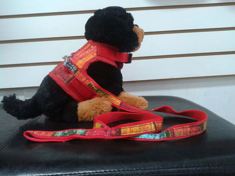 2014-06-09 11.48.46.jpg