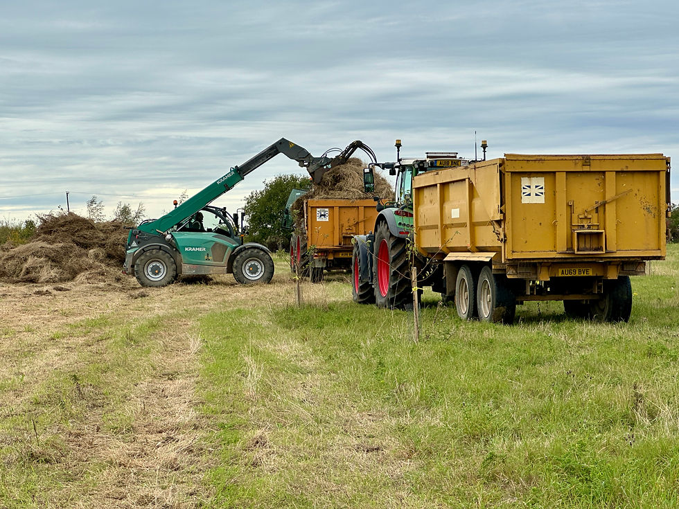 Full On Maintenance!