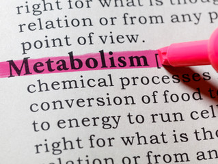 What Metabolism Means (And How to Fix Yours)