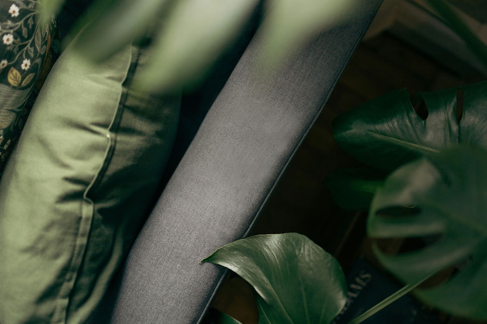 hans-isaacson-8LkPNL0nWyw-unsplash Kopie.jpg