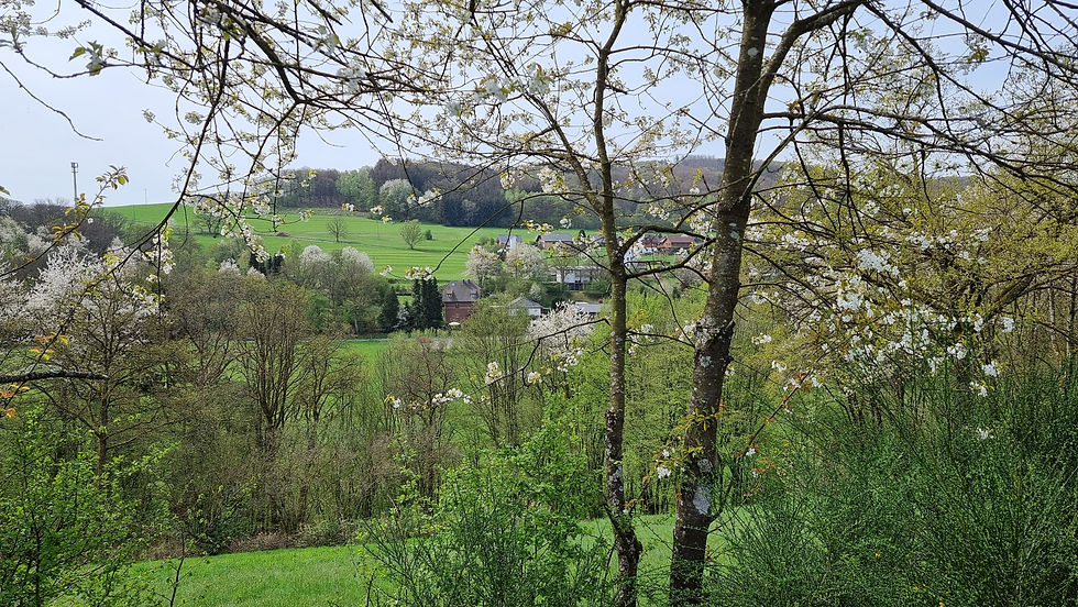 Forst-Seifen und Semiarhaus