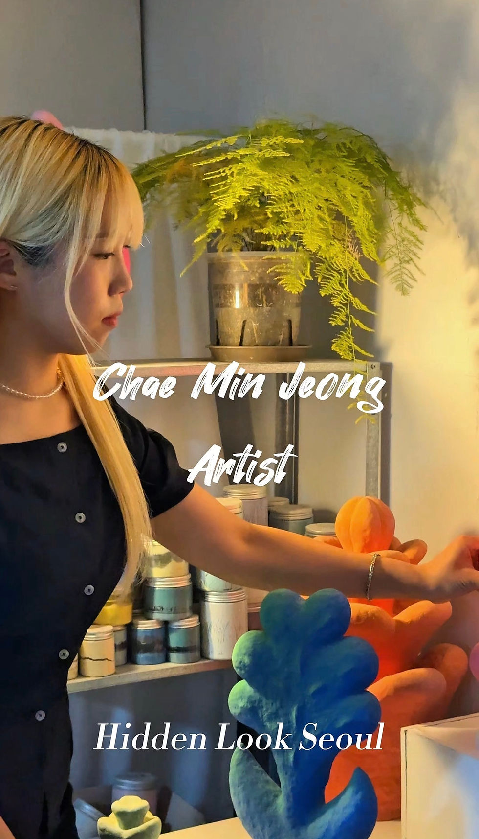 Chae min jeong artist 채민정 작가