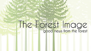 ForestImageLOGOweb (002).jpg
