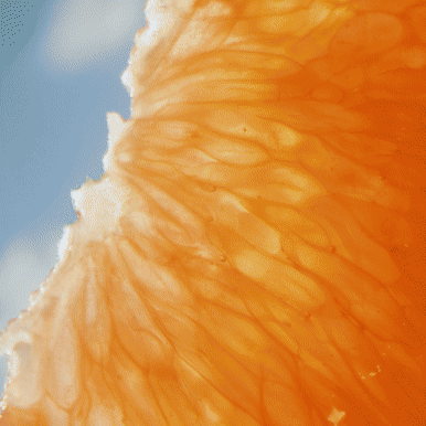FWRgif.gif