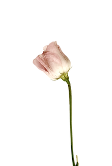9.png