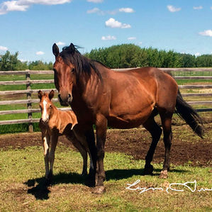 What shall we Name Him?