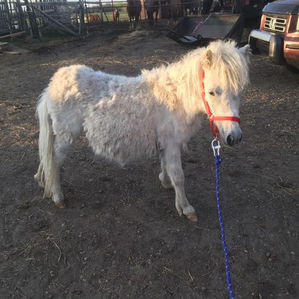 I've been keeping some things from you....