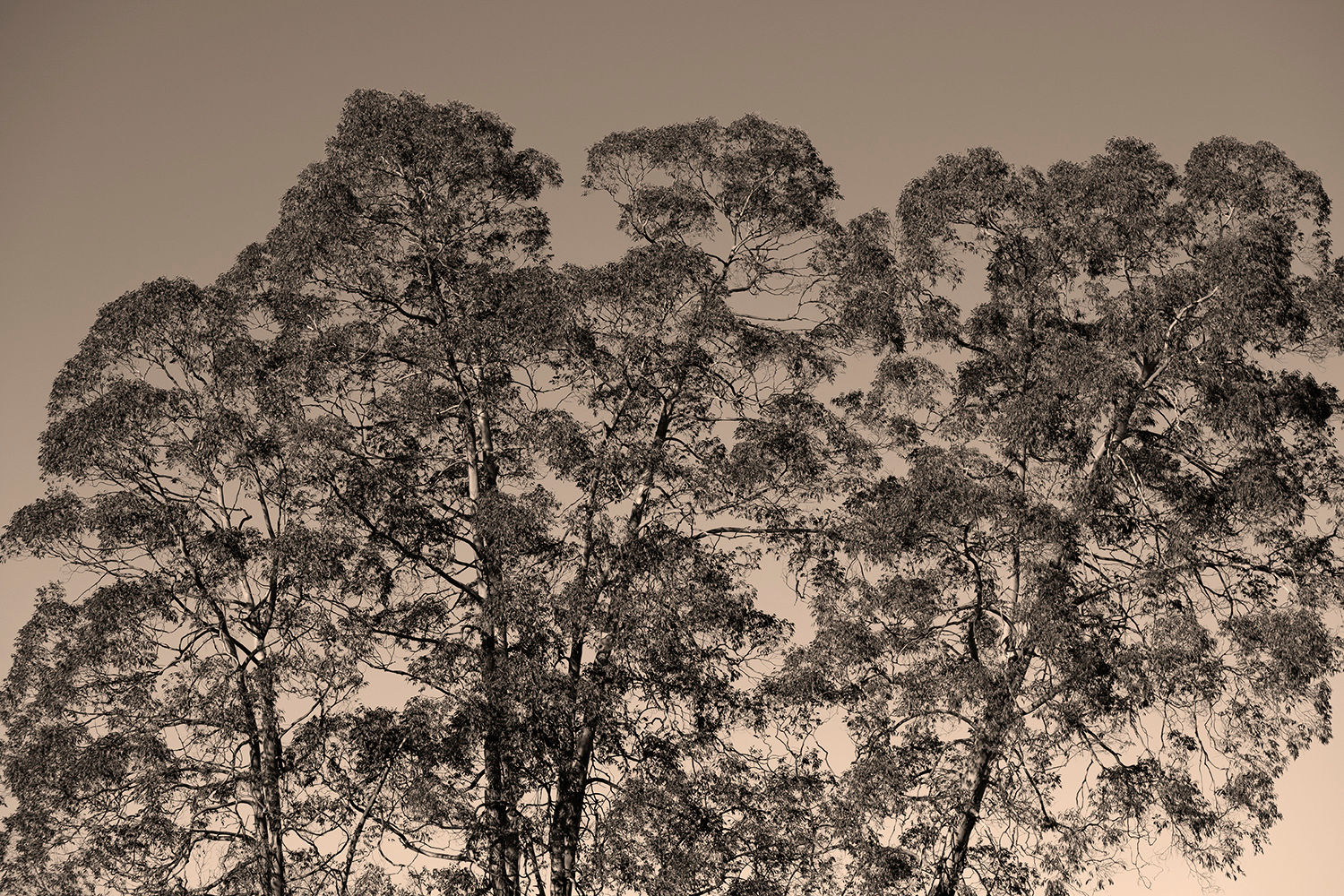 Mondes intérieurs #4 - Inner worlds #4