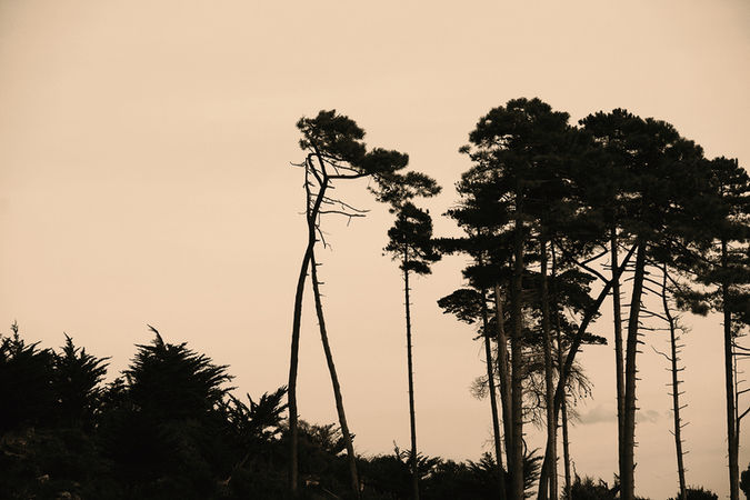 Un voyage silencieux #13