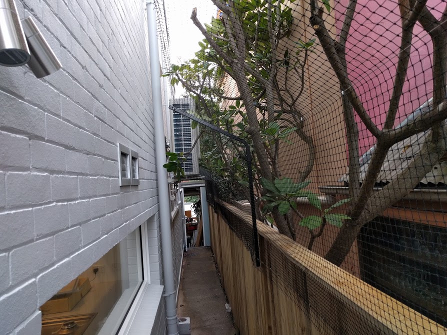 Cat Enclosures Sydney