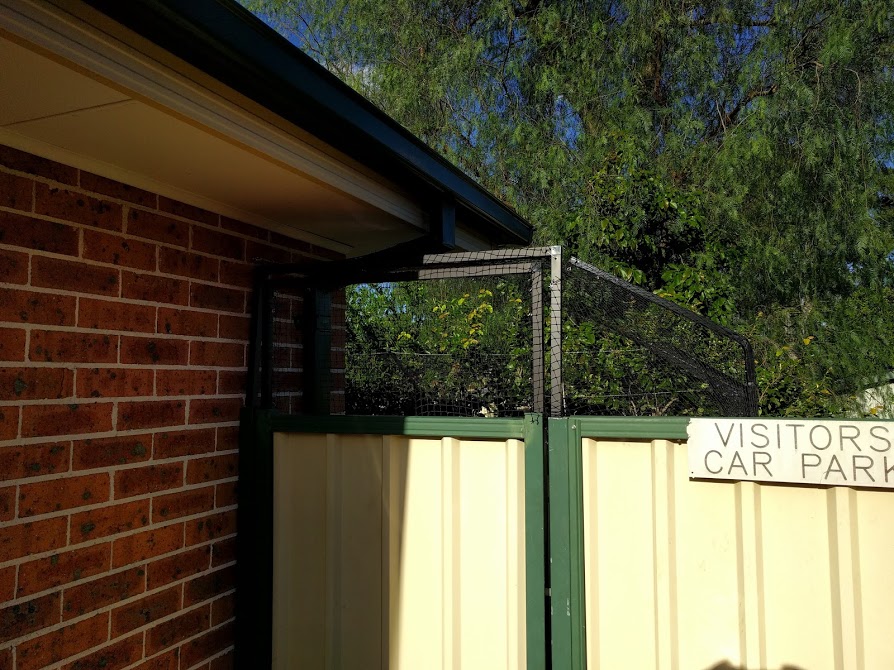 Cat Enclosures Sydney
