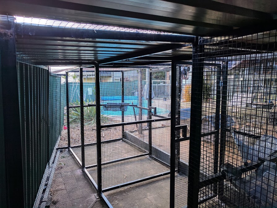 Cat Enclosures Sydney