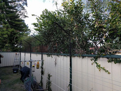 softline cat enclosures