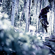 Mountain Biker in the Woods