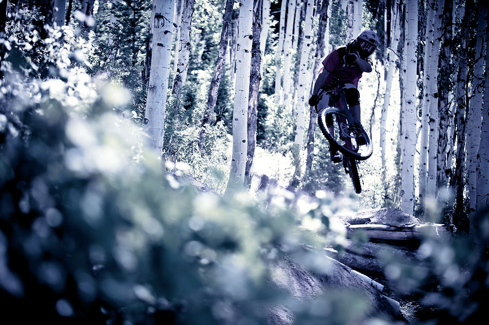 Cyclist In Forest