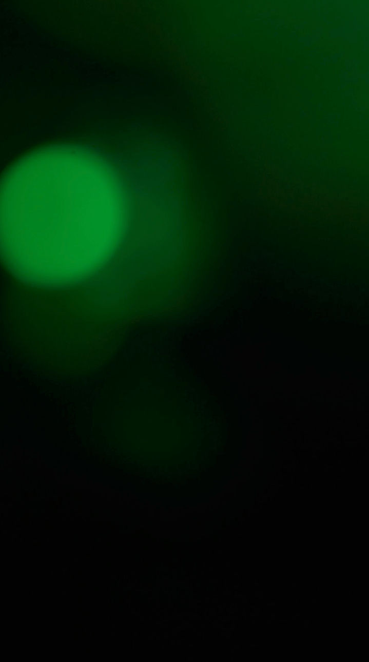 スクリーンショット 2026-04-24 0.37_edited.jpg
