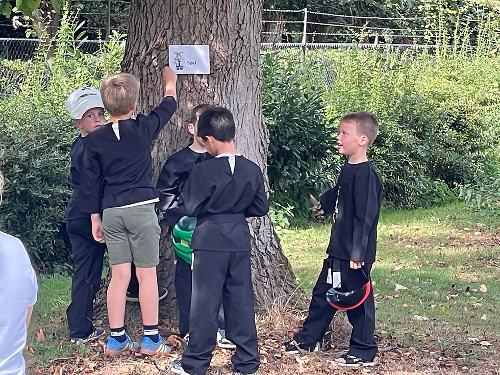 Hoe organiseer ik een Ninjago-feest